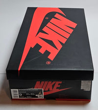Nike Air Jordan 1 Retro Low OG EX