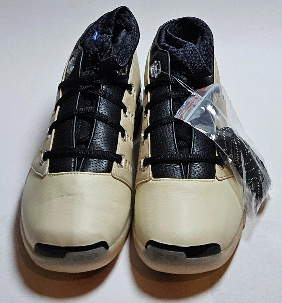Infinite Archives x Air Jordan Retro 17 Low SP