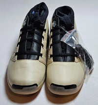 Infinite Archives x Air Jordan Retro 17 Low SP