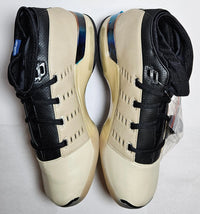 Infinite Archives x Air Jordan Retro 17 Low SP